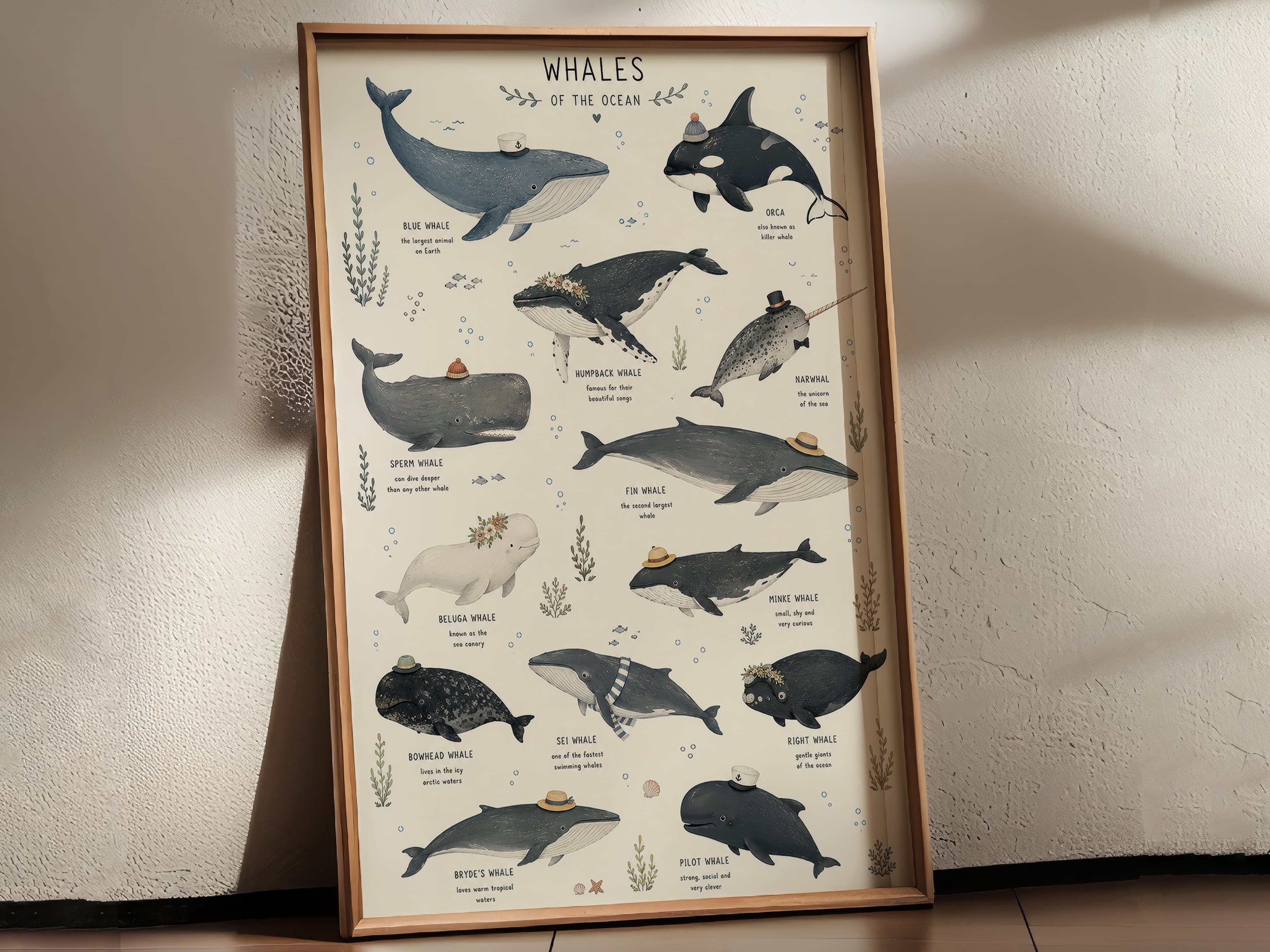 Whale Species Chart Print
